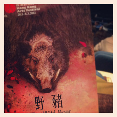 Wild-Boar